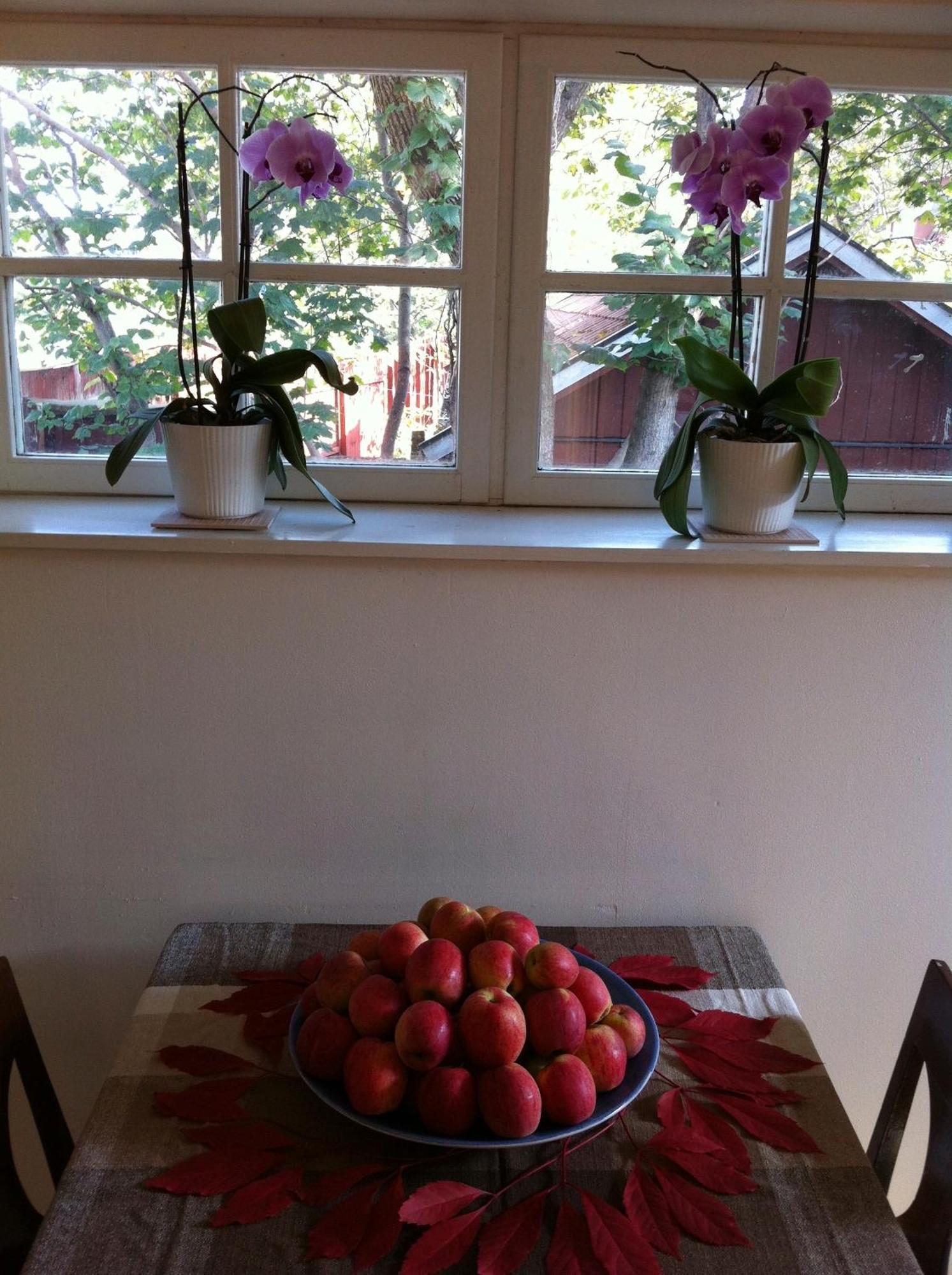 Stockholm B&B Cottage Nacka Cameră foto